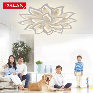 LED Ceiling Chandelier Acrylic Room Decoration Kitchen Dining Room Coffee Bar Indoor Ceiling Pendant Lamp Remote Control Light