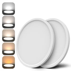 Celling Light Indoor Light Bedroom LED Panel Light Living Room Light Ceiling lamp Panel Lamp Indoor Lamp